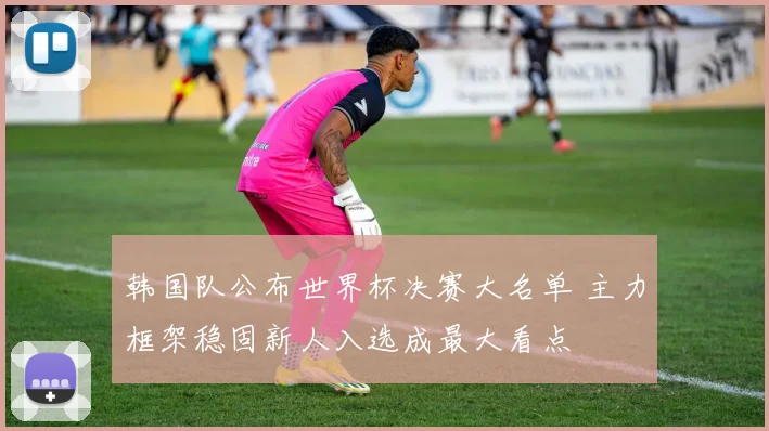 韩国队公布世界杯决赛大名单 主力框架稳固新人入选成最大看点