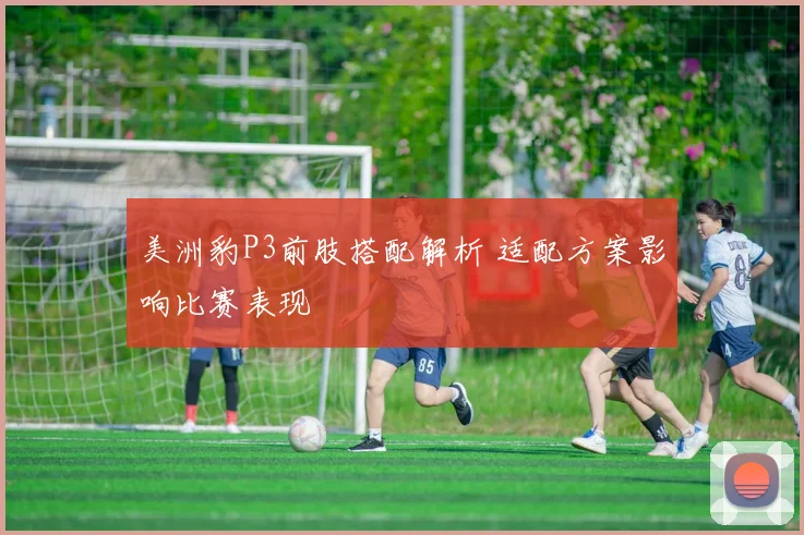 美洲豹P3前肢搭配解析 适配方案影响比赛表现