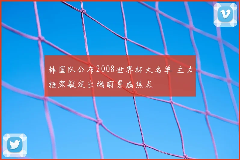 韩国队公布2008世界杯大名单 主力框架敲定出线前景成焦点