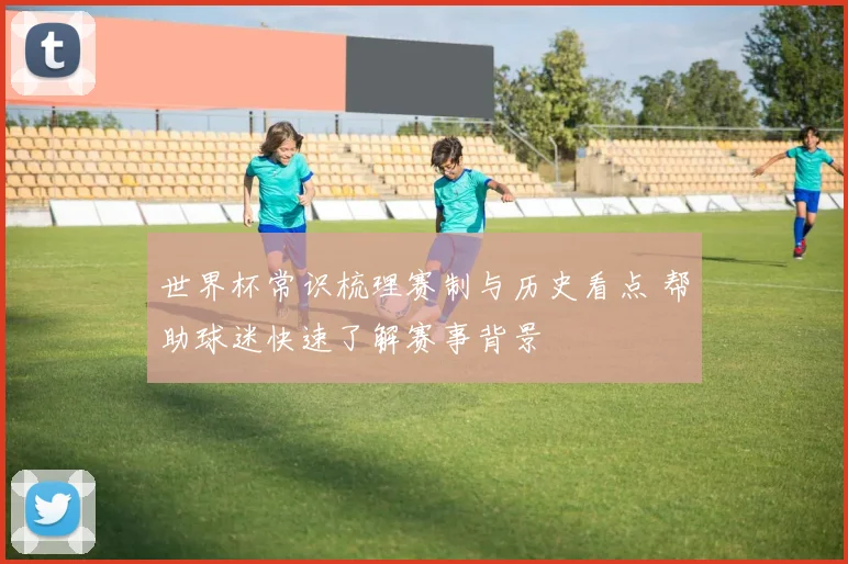 世界杯常识梳理赛制与历史看点 帮助球迷快速了解赛事背景