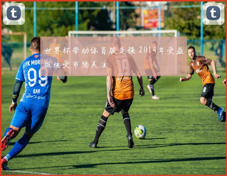 世界杯带动体育股走强 2014年受益板块受市场关注