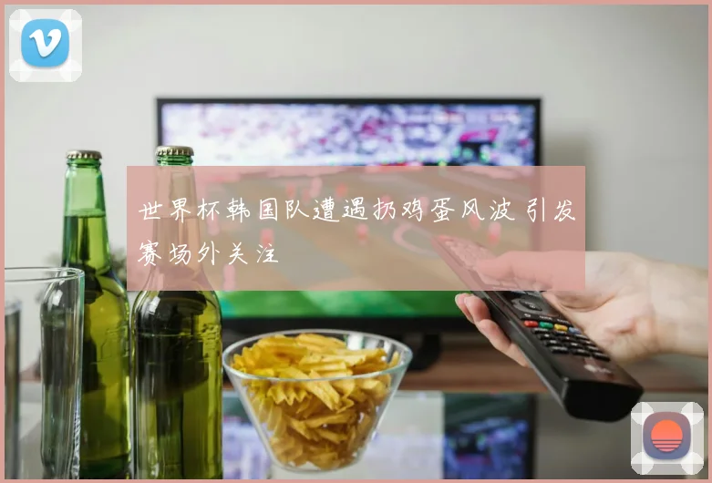 世界杯韩国队遭遇扔鸡蛋风波 引发赛场外关注